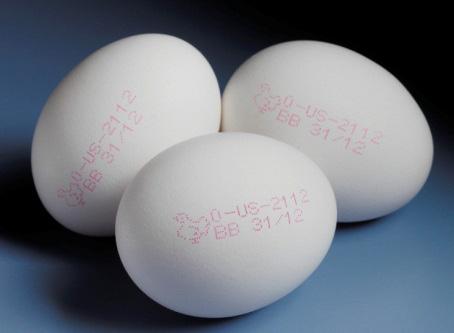 怎样选择最佳的墨水在蛋壳上喷印