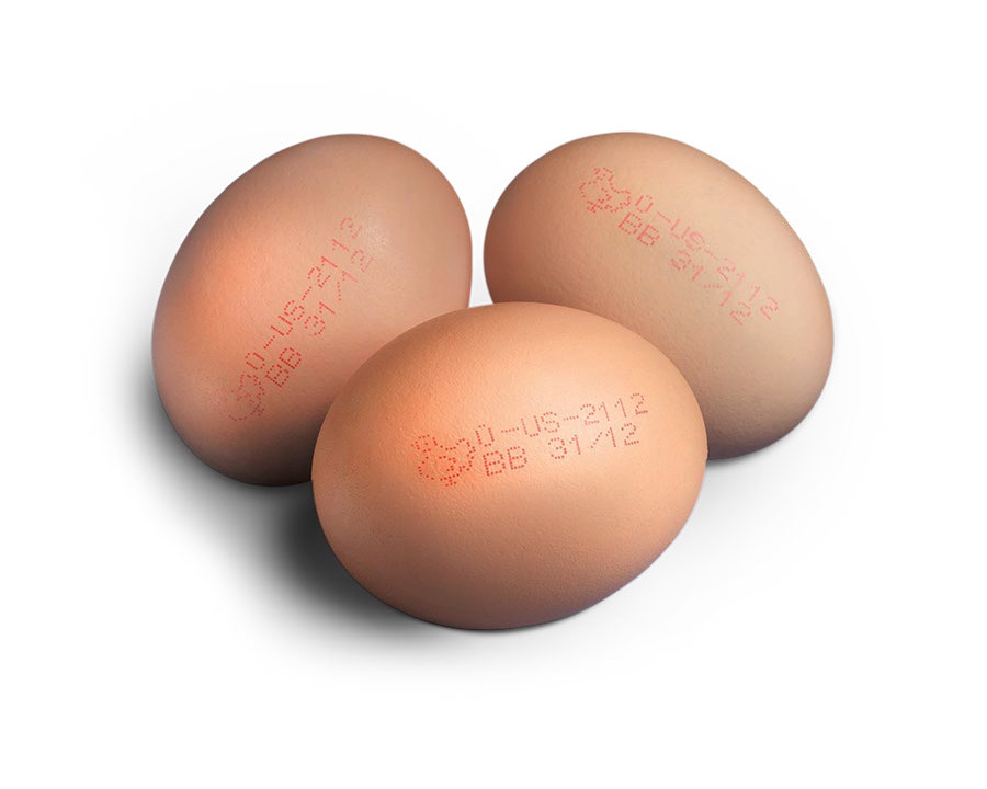 怎样选择最佳的墨水在蛋壳上喷印